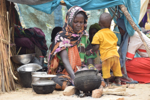 UN urges $3 bn aid for Sudan and refugees