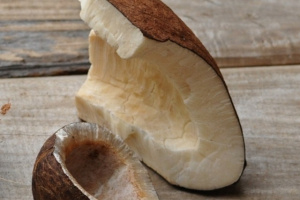 Excess hardened kernel of the Seychelles' endemic coco de mer on public sale 